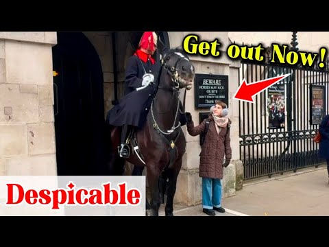 Видео: САМЫЕ ГЛУПЫЕ туристы, которых я когда-либо видел в Конной гвардии Лондона