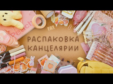 Видео: РАСПАКОВКА КАНЦЕЛЯРИИ | Что купить на StationeryPal для оформления ежедневника?