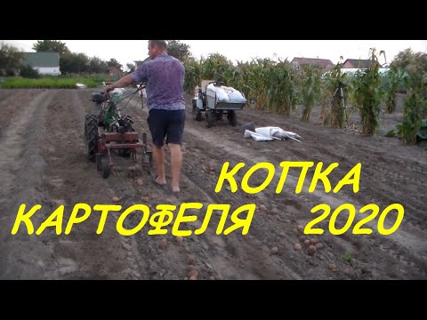 Видео: Копка картофеля грохотной копалкой 2020