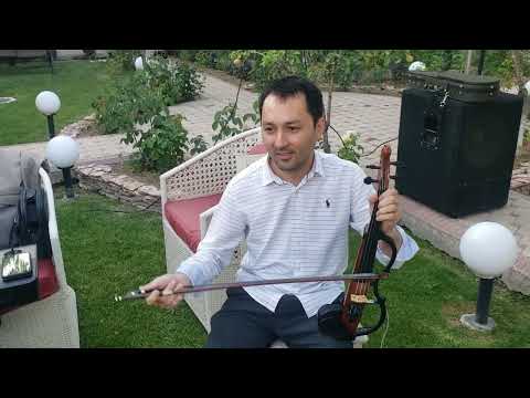 Видео: Qalandar Tamanno kuy 8 июня 2022 г.