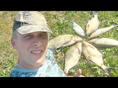 Видео: РЫБАЛКА НА КОЛЬЦО. ЛЕЩИ МОНСТРЫ РВУТ ПОВОДКИ