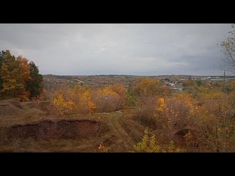 Видео: Развлекательное видео | В карьере