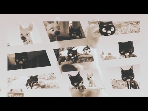 Видео: Вольт и Варежка (заказ)