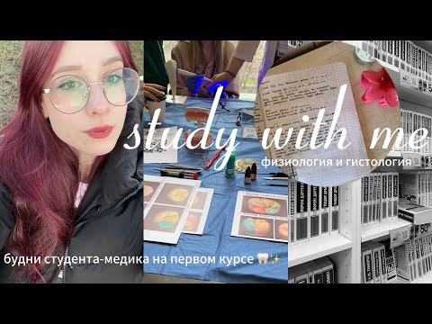 Видео: романтизирую учёбу в медицинском и учусь весь день / study with me / гистология,физиология