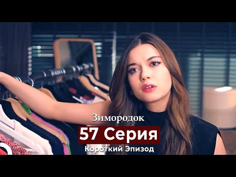 Видео: Зимородок 57 Cерия (Короткий Эпизод) (Русский дубляж)