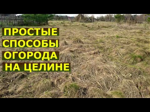 Видео: Как сажать на целине без перекопки?