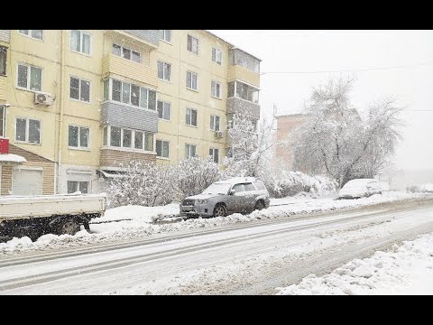 Видео: Снежный циклон 12 марта 2023 во Владивостоке