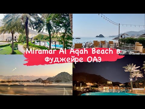 Видео: Miramar Al Aqah Beach Resort в Фуджейре ОАЭ
