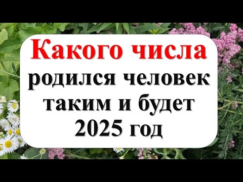 Видео: Какого числа от 1 до 31, родился человек, такой и будет 2025 год. Что ждать каждому от года Змеи