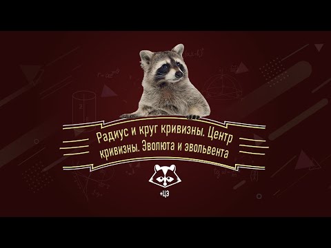 Видео: +ЦЭлая куча КРИВЫХ прямо в эфире... | Радиус и круг кривизны, центр кривизны, эволюта и эвольвента.