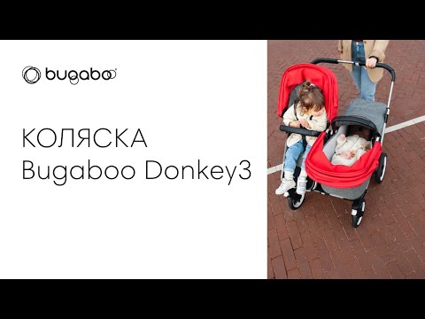 Видео: ОБЗОР КОЛЯСКИ Bugaboo 2 в 1 Donkey 3