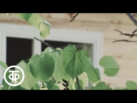 Видео: Наш сад. Весенние задачи: грамотно вносим удобрения и слушаем советы пчеловода (1983)