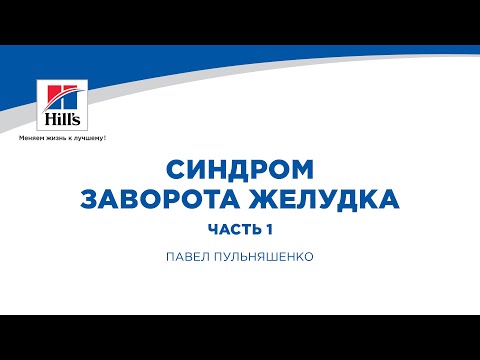 Видео: Вебинар на тему: "Синдром заворота желудка.” Часть 1. Лектор - Павел Пульняшенко.