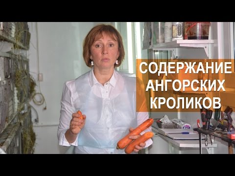 Видео: Содержание ангорских кроликов. Арт-Ферма RUSANGORA