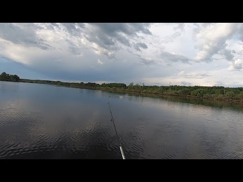 Видео: Открытие рыбалки. Жёсткий клёв разнообразного хищника