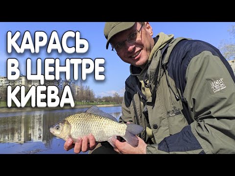 Видео: Крупный карась на фидер в центре Киева! А ведь Дядя Фёдор собирался плотвичку половить...