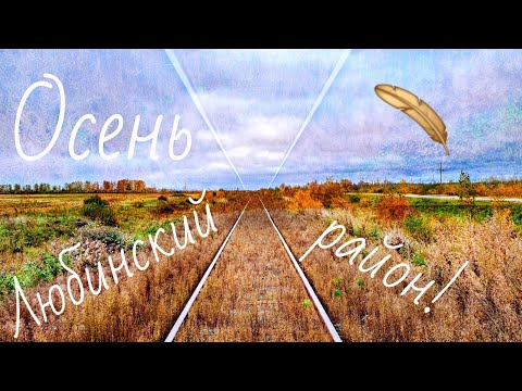 Видео: Осень🍂Любинский район. Омская область 🪶