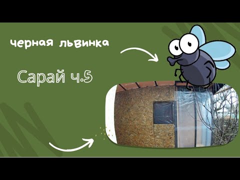 Видео: Сарай для львинки. Часть 5