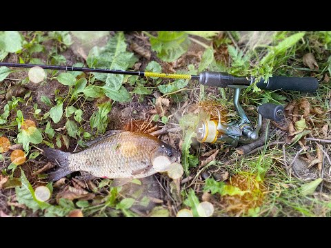 Видео: МОРМЫШИНГ. ЗДЕСЬ РЫБЫ НЕТ 2!