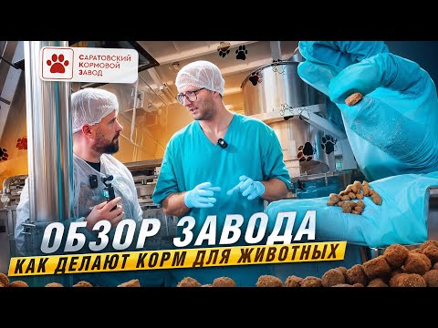 Видео: САРАТОВ | Как делают сухой корм для животных в Саратове | Обзор производства СКЗ