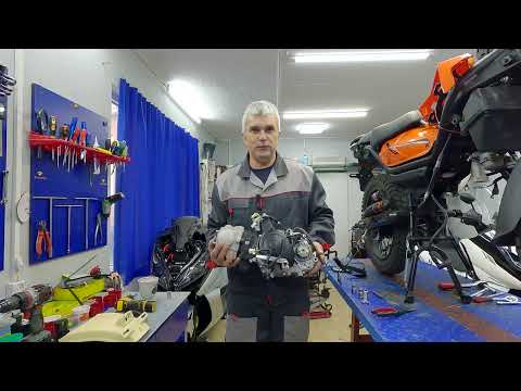 Видео: Три АЛЬФЫ!!!