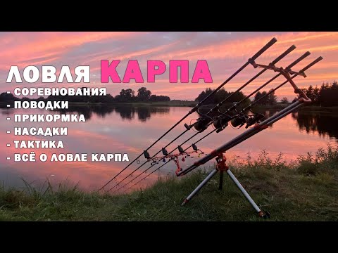 Видео: Карпфишинг. Финал KCL. Как и что делали, чтобы победить. Ловля сазана и карпа в траве.