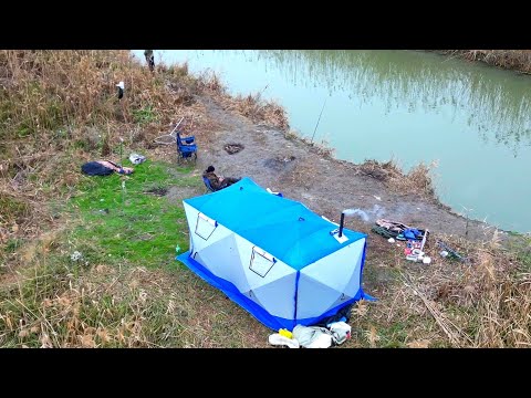 Видео: Зимняя рыбалка на дикого  сазана.
