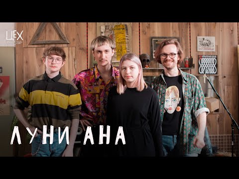 Видео: луни ана: Цех live