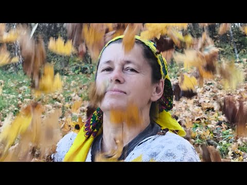 Видео: приємного спілкування друзі