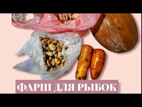 Видео: ДЕЛАЕМ ФАРШ ДЛЯ РЫБОК.