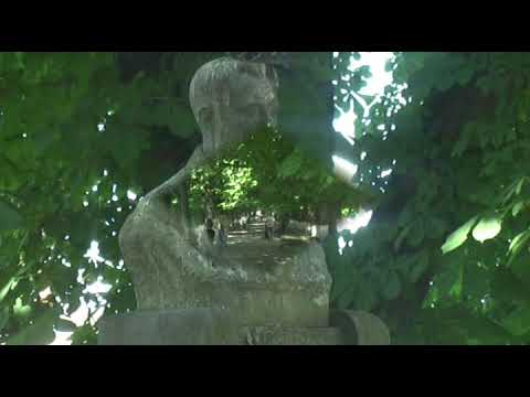 Видео: УЖГОРОД 2011