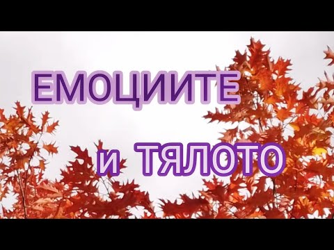 Видео: ЕМОЦИИТЕ и ТЯЛОТО |  ТЕХНИКИ  |  @ВЕКТОРВЕКТОР