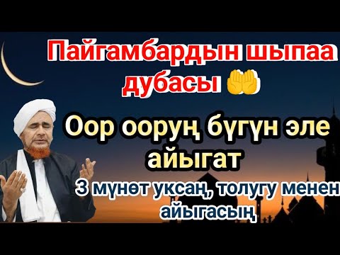 Видео: Пайгамбардын дубасы — 3 мүнөттө айыгасың! Угуп коюу эле жетиштүү🤲
