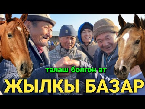 Видео: Базар-Коргон жылкы базары орт болду.