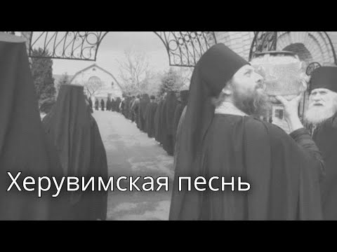 Видео: Херувимская песнь. Староболгарский распев. Свято-Успенский Николо-Васильевский монастырь