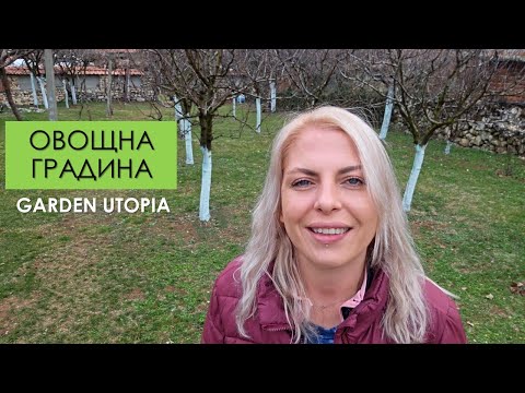 Видео: Искате ОВОЩНА ГРАДИНА? Гледайте ТОВА ВИДЕО!