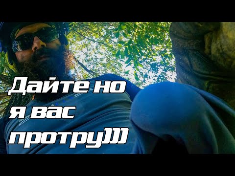 Видео: Розчистка ділянки та видалення двох верб