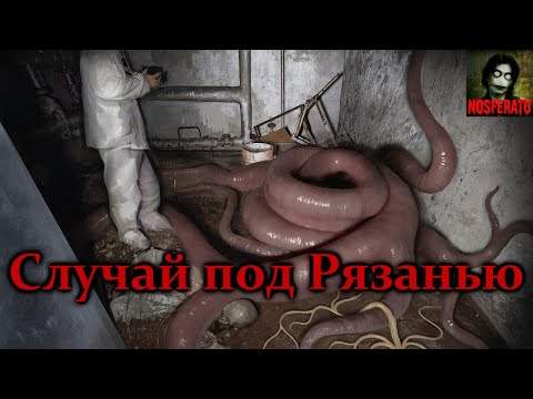 Видео: СЛУЧАЙ ПОД РЯЗАНЬЮ. Страшные истории на ночь. Страшилки на ночь