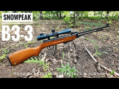 Видео: Пневматическая винтовка Snowpeak (SPA/Aurora/Core/Kandar/Shanghai) B 3-3. Обзор, тест и оценки.