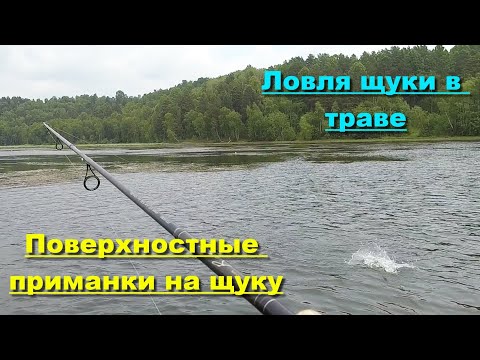 Видео: Поверхностные приманки на щуку. Ловля щуки в траве