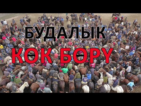 Видео: КОК БОРY / БУДАЛЫК / ЖИНДИ УЛАК БОЛДУ 👍АЛТЫН КУРДУ КИМ УТУП КЕТТИ