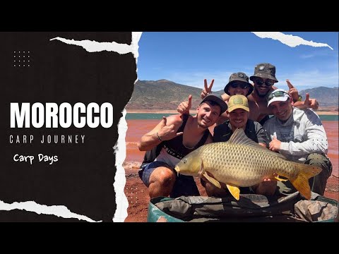 Видео: CarpDays - Шаранджийско Приключение в Мароко / Morocco carp adventure at Bin El Ouidane