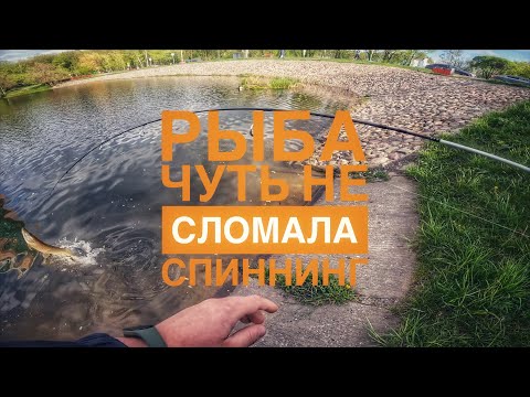 Видео: МОРМЫШИНГ КРАШТЕСТ | ОЛТА НАВАХО МОРМЫШКА 664MF-S