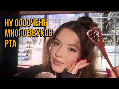Видео: Липкие звуки рта| ну медятина