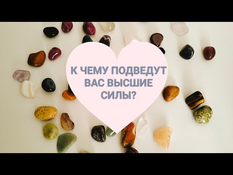 Видео: К ЧЕМУ ПОДВЕДУТ ВАС ВЫСШИЕ СИЛЫ?