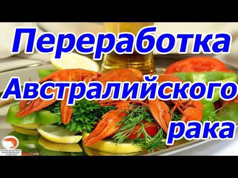 Видео: Переработка Австралийского рака, как доп бизнес идея