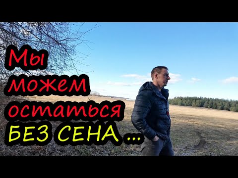 Видео: СЕНОКОС ПОД УГРОЗОЙ // Сена может и не быть // Новые проблемы // Такого никто не ожидал // МЫ В ШОКЕ