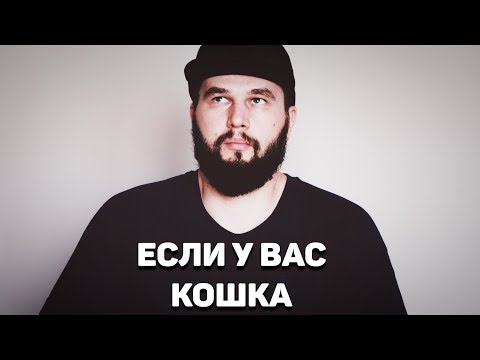 Видео: 📌 Обращение к владельцам котов и кошек