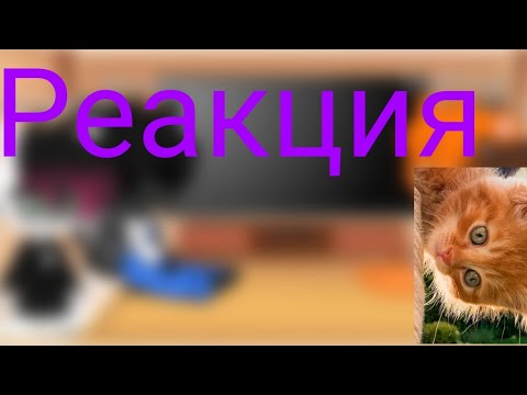 Видео: Реакция симбы на тт