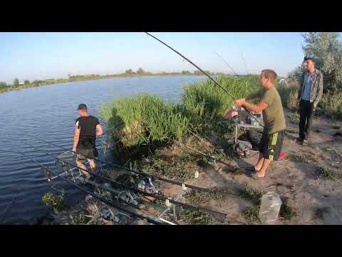 Видео: РЫБАЛКА НА ДНЕСТРЕ / 2023 / с 19 - 20.08. 2023 / ПЕРВЫЙ КАРПИК 2023